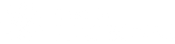 Castillo de Pilas Bonas